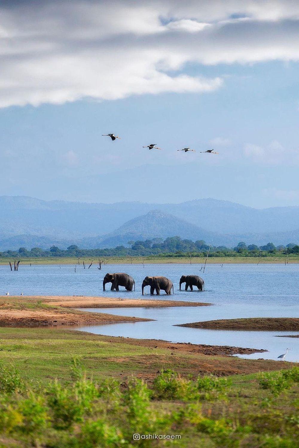 Udawalawe National Park