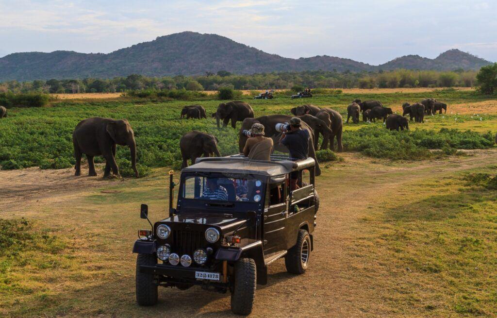 Yala National Park