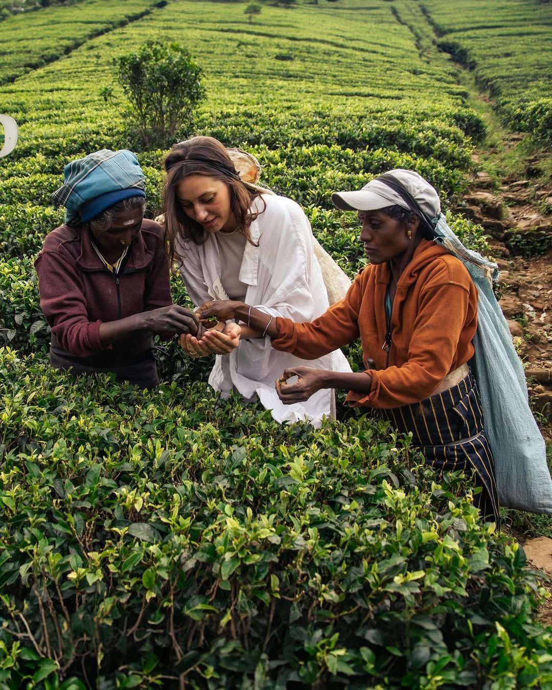 Sri Lankan Hill Country Express